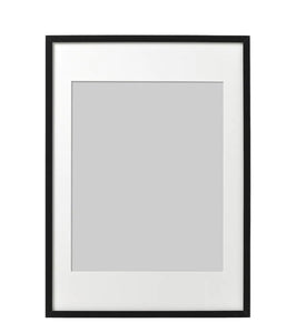 A1 Frame (click to see options)