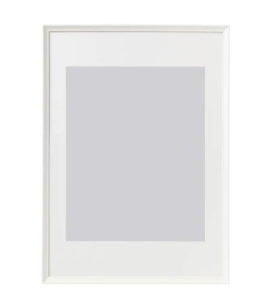 A1 Frame (click to see options)